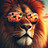 SunsetLion